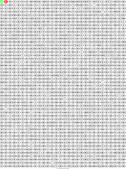 Image 30 x 50 monochrome